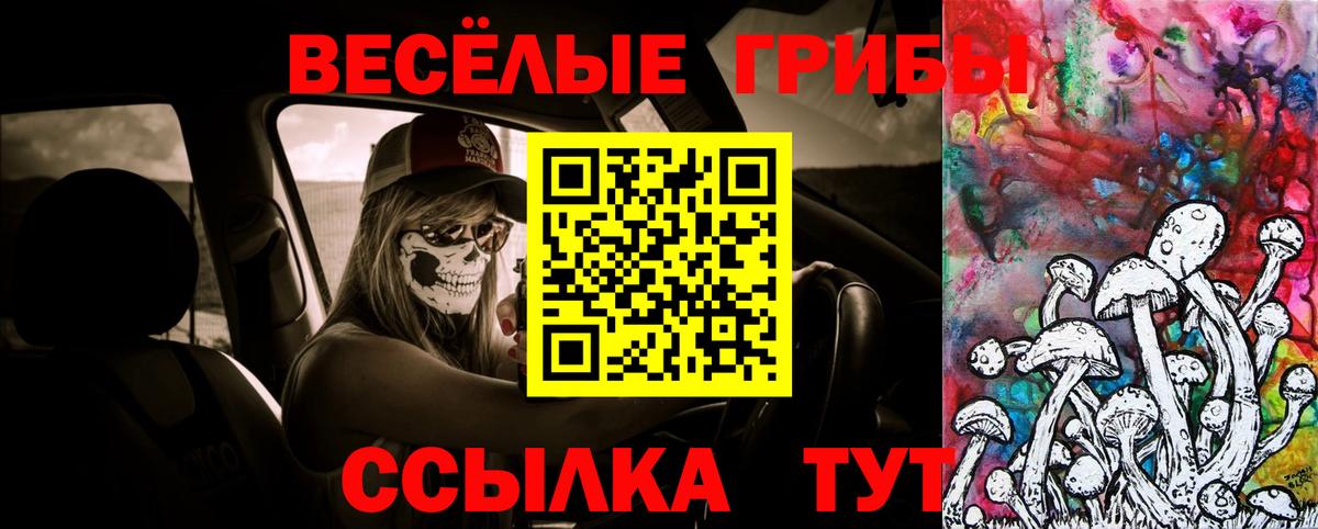 где можно купить   Вход с VPN  Кизилюрт  Галлюциногенные грибы GOLDEN TEACHER  Галлюциногенные грибы Magic Shrooms 