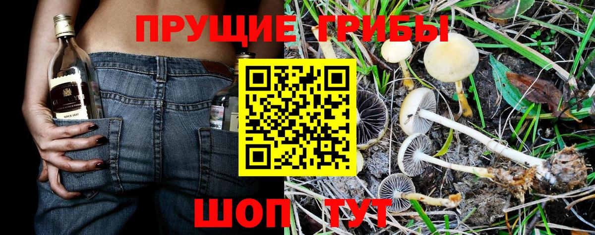 Псилоцибиновые грибы MAGIC MUSHROOMS Кизилюрт